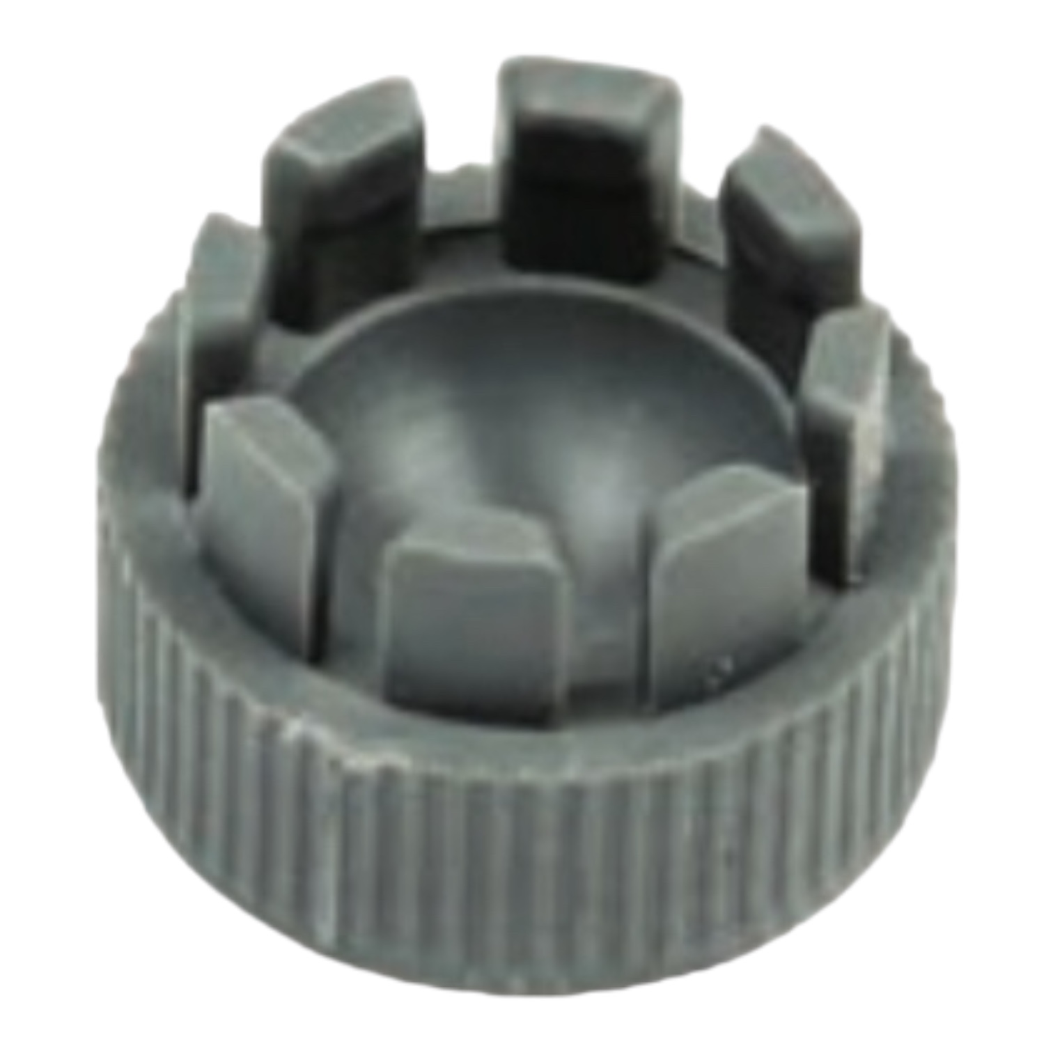 Photoroom_20240713_222243